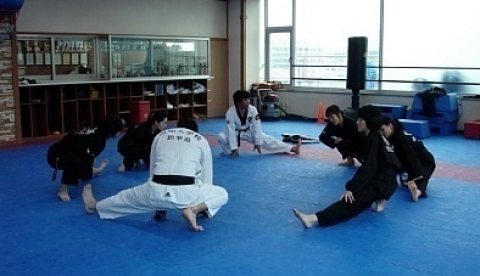 武道訓練 — 体力および型